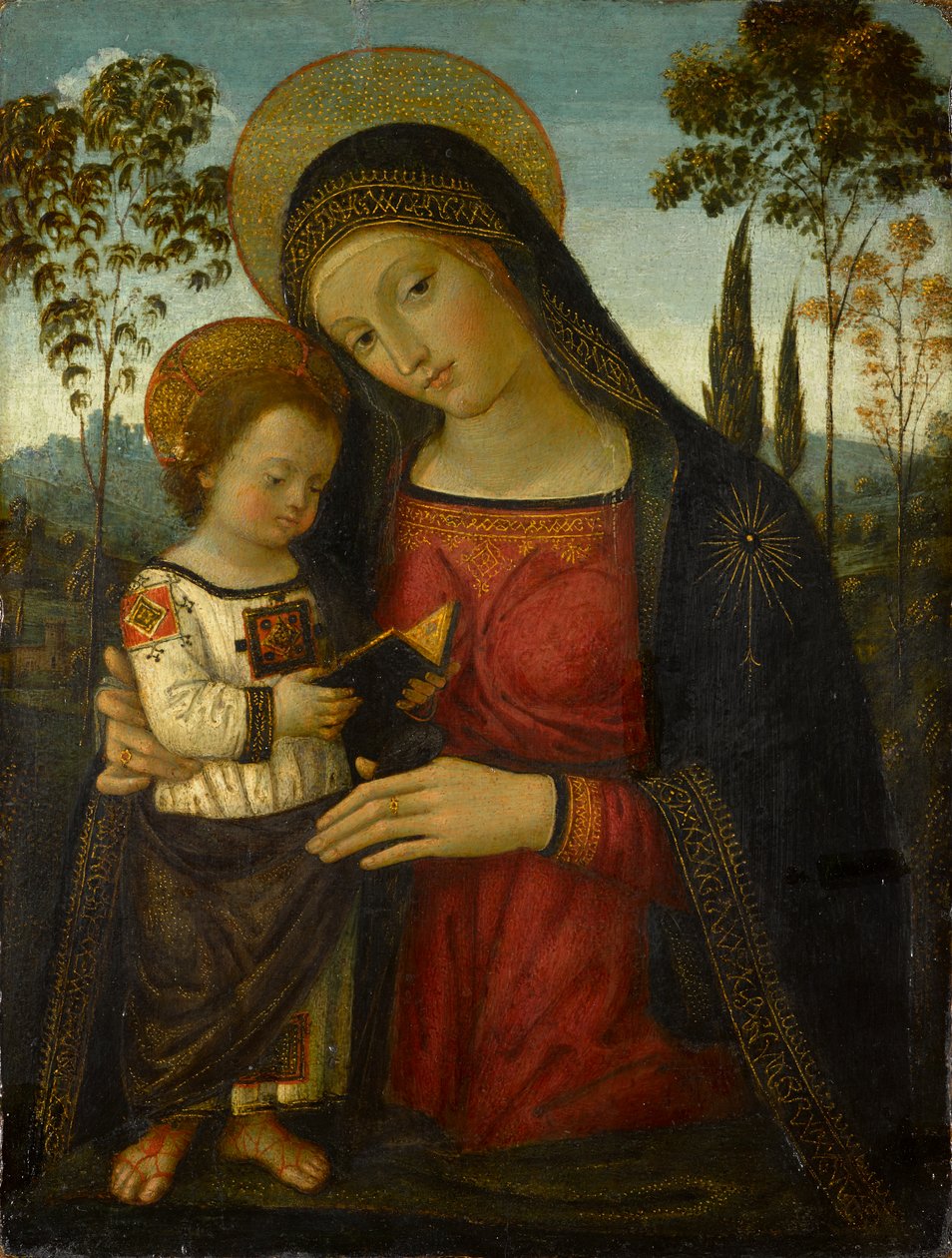 Madonna a dítě, cca 1490-1495 (tempera na panelu) od Bernardino di Betto Pinturicchio
