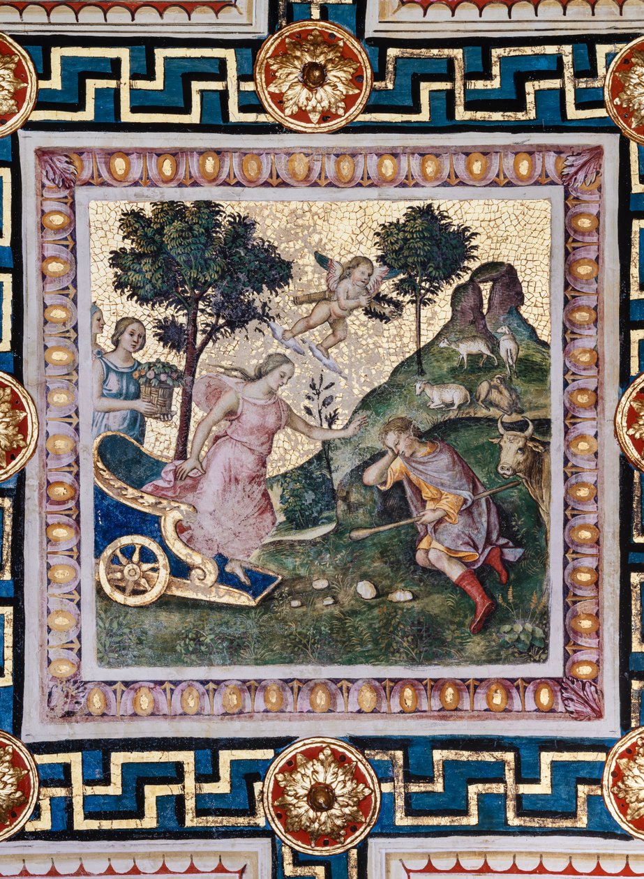 Knihovna Piccolomini, strop: „Znásilnění Proserpiny“, freska od Bernardina di Betto, známého jako Pinturicchio. V panelu Pluto spěchá pryč ve svém voze, Proserpine se třese v jeho náručí a jeden ze společníků bohyně ohrožuje Pluta od Bernardino di Betto Pinturicchio