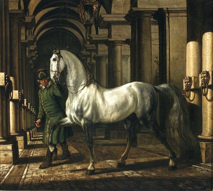 Podkoní vedoucí koně od Bernardo Bellotto