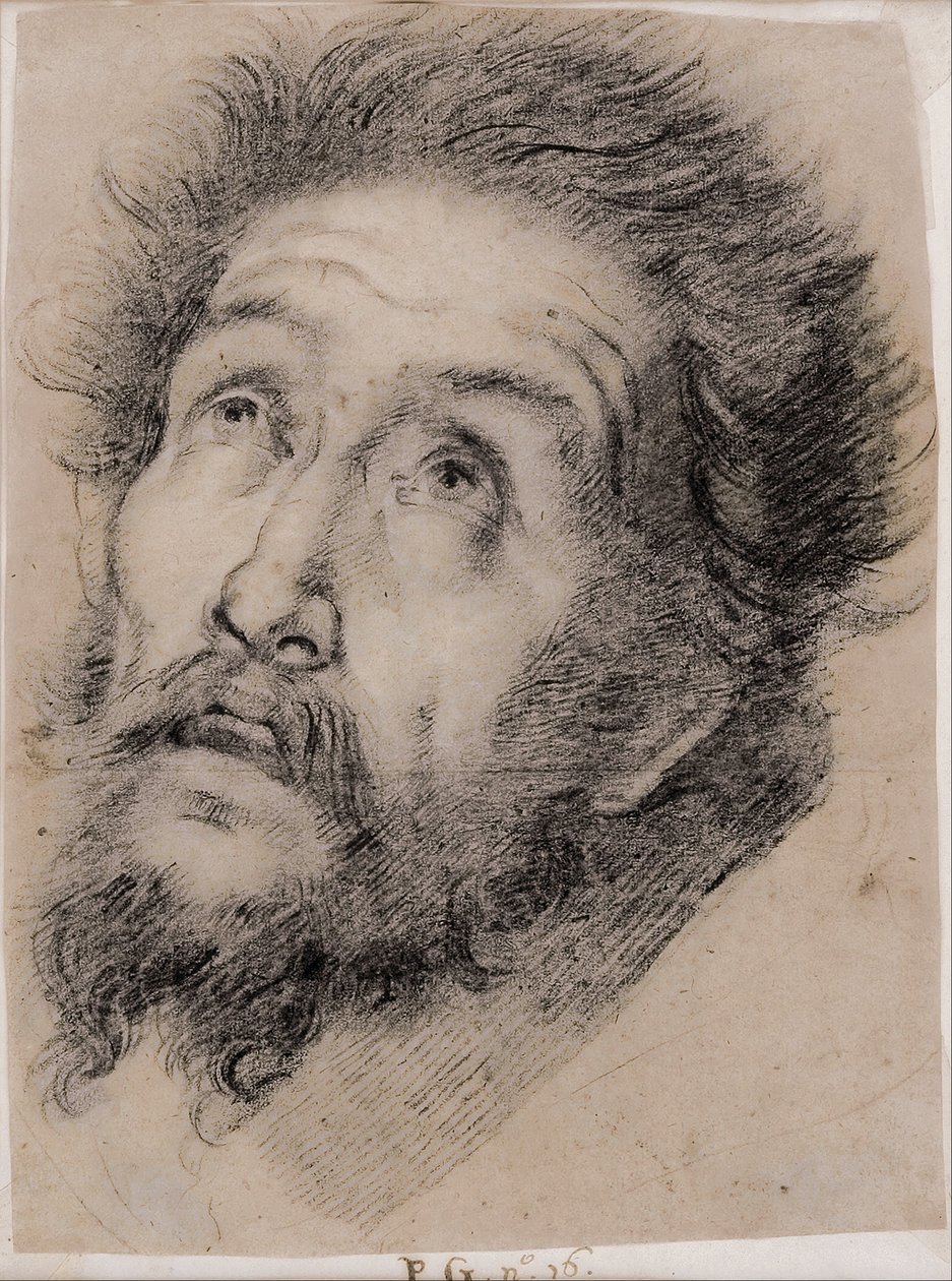 Studium pro svatého Františka z Assisi zbožňující kříž od Bernardo Strozzi