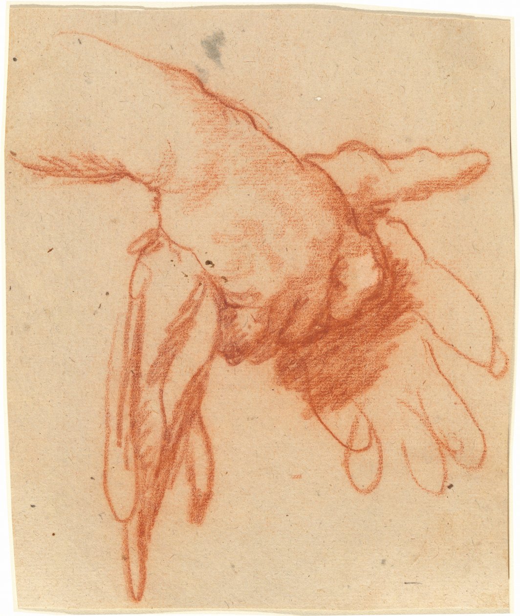 Ruka držící prázdné rukavice od Bernardo Strozzi