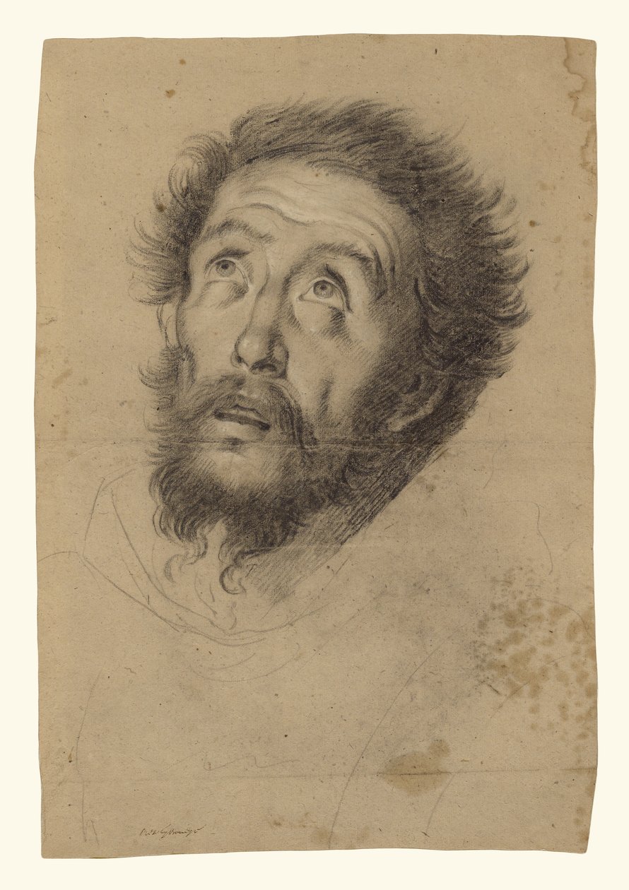 Hlava svatého Františka (recto); studie hlavy svatého Františka, hlavy starce a dvou pravých rukou (verso) od Bernardo Strozzi