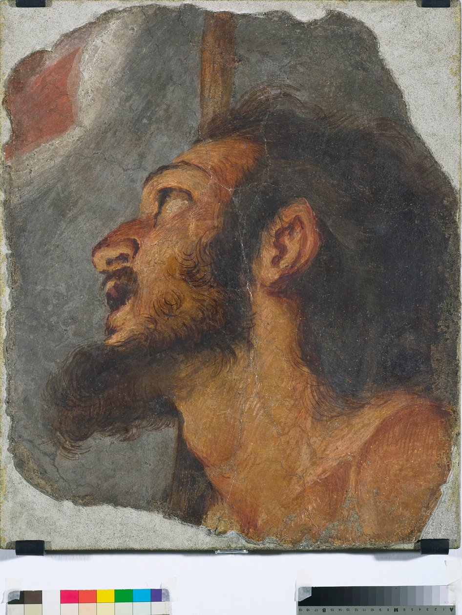 Hlava sv. Jana Křtitele Fragment samostatné fresky, 1622 od Bernardo Strozzi
