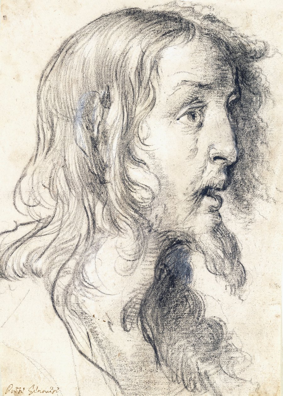 Hlava Kristova z profilu vpravo, od Bernardo Strozzi