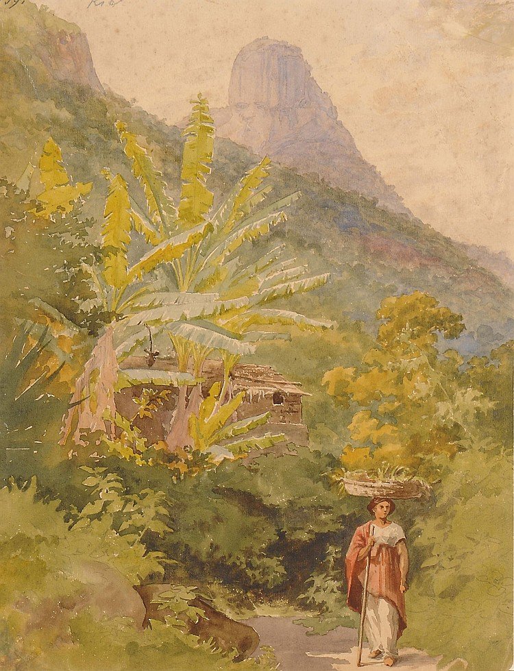 Brazilská žena nesoucí na hlavě košík s ovocem a cukrovým bochníkem od Bernhard Wiegandt