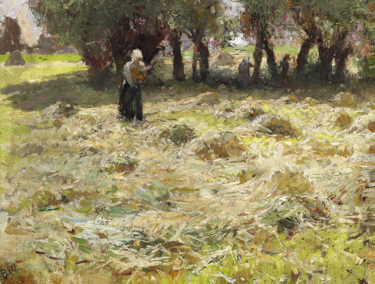 Seno je otočeno od Bertha Wegmann