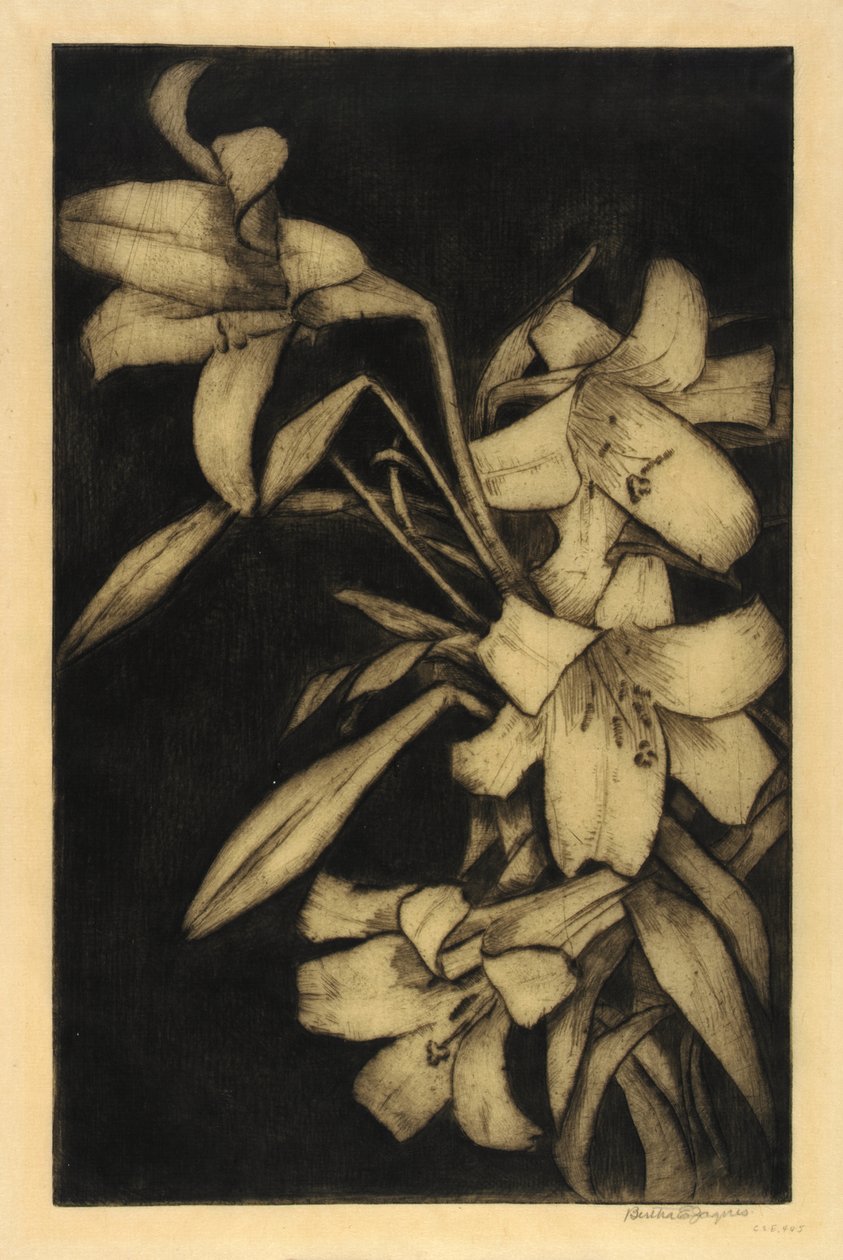 Velikonoce nebo Madona, lilie od Bertha E. Jaques