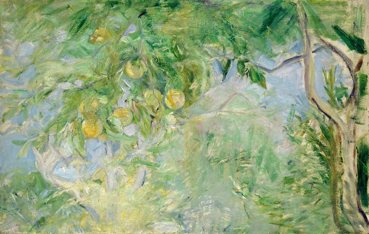 Větve pomerančovníku, 1889 od Berthe Morisot