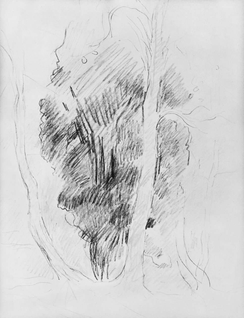 Studie stromů, 1893 od Berthe Morisot