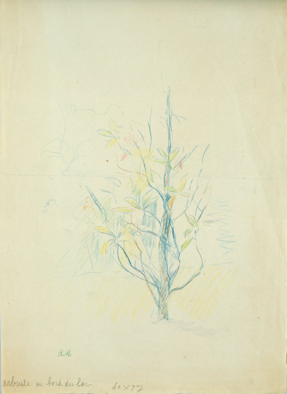 Keře u jezera, 1893 (barevná tužka na papíře) od Berthe Morisot