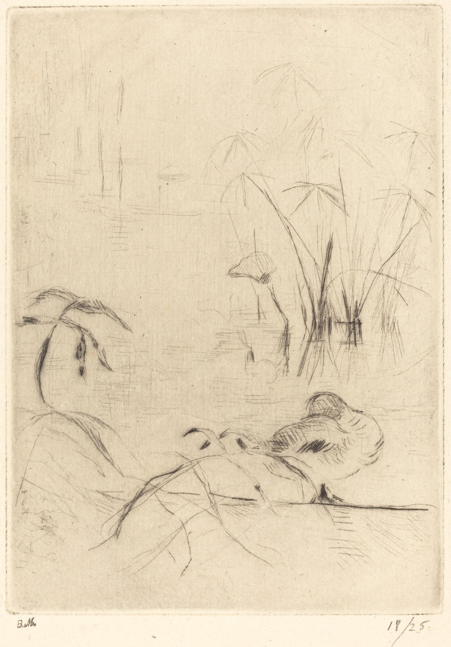 Kachny v klidu na břehu od Berthe Morisot