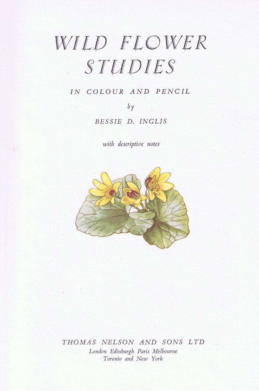Titulní strana, 1951 od Bessie D. Inglis