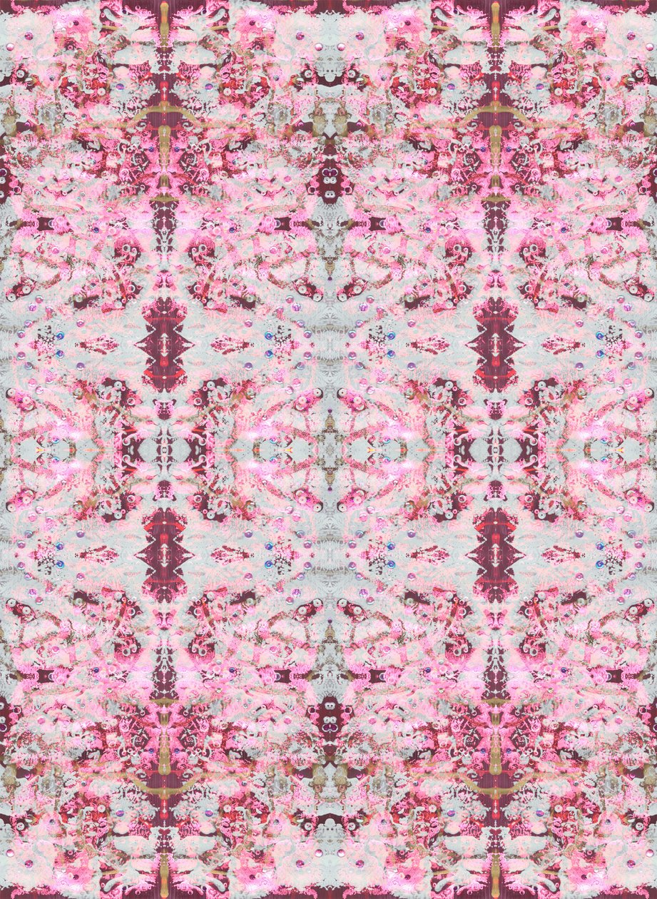 Burgandy Rose, 2015 (kombinovaná technika, ilustrace, digitální) od Beth Travers