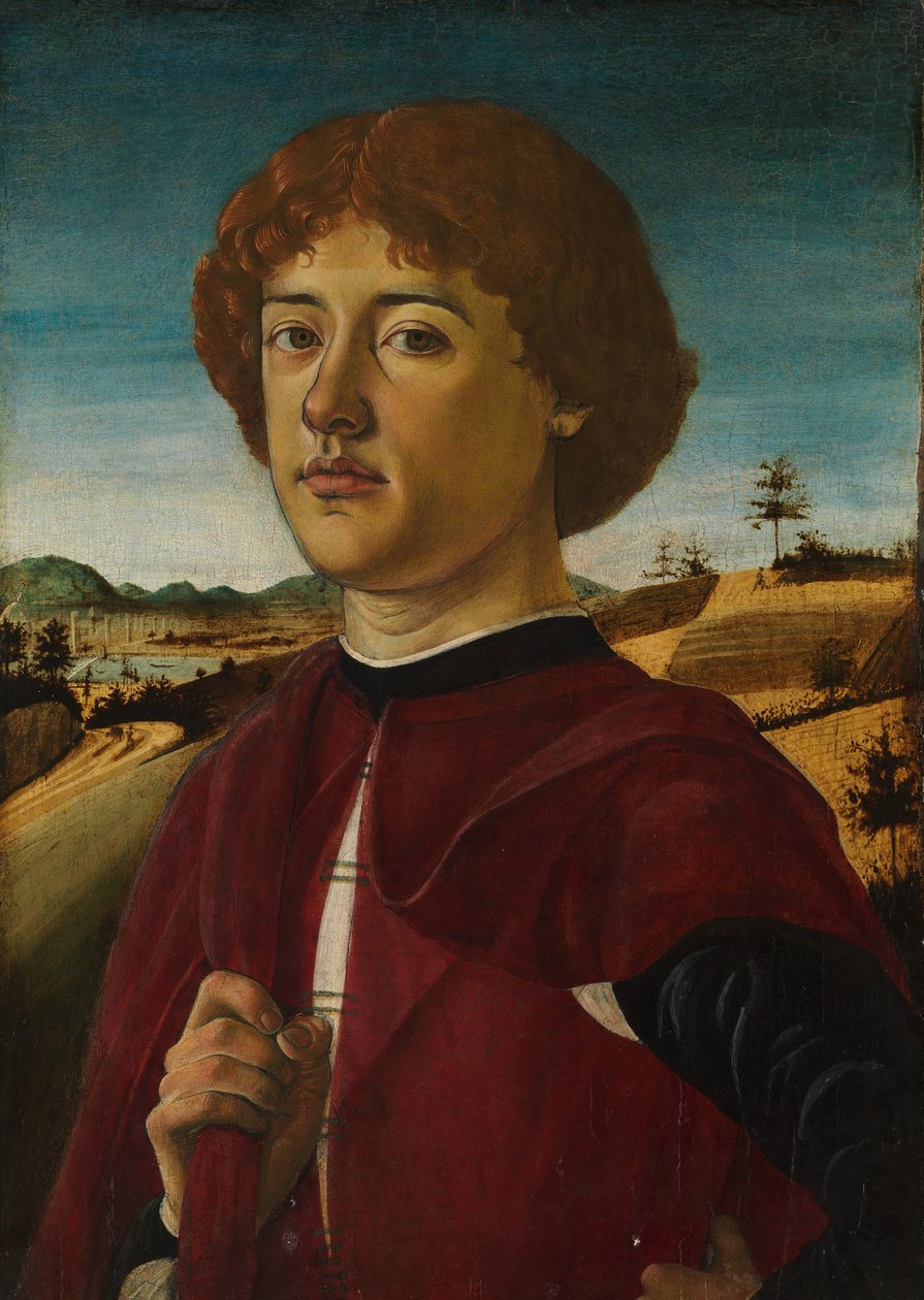 Portrét mladého muže, pravděpodobně ca. 1470. od Biagio d