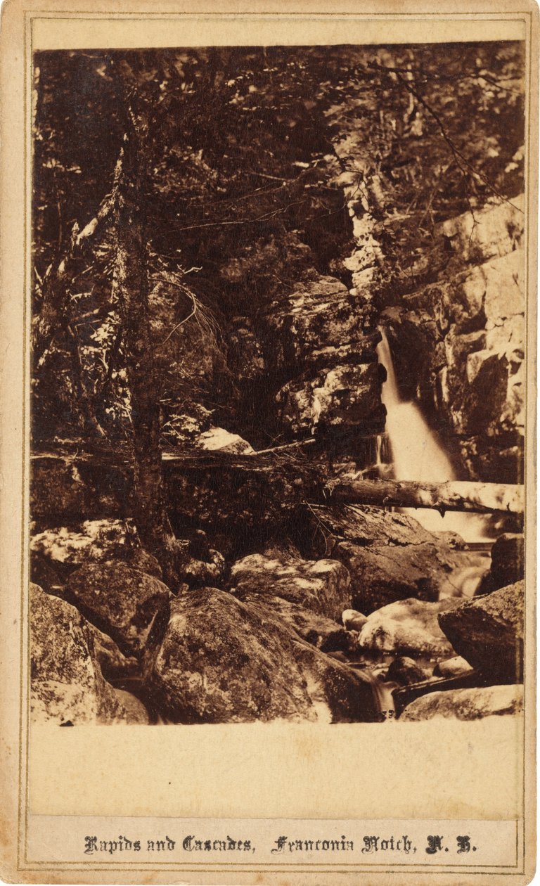 Rapids and Cascades, Franconia Notch, New Hampshire, 60. léta 19. století. od Bierstadt Brothers