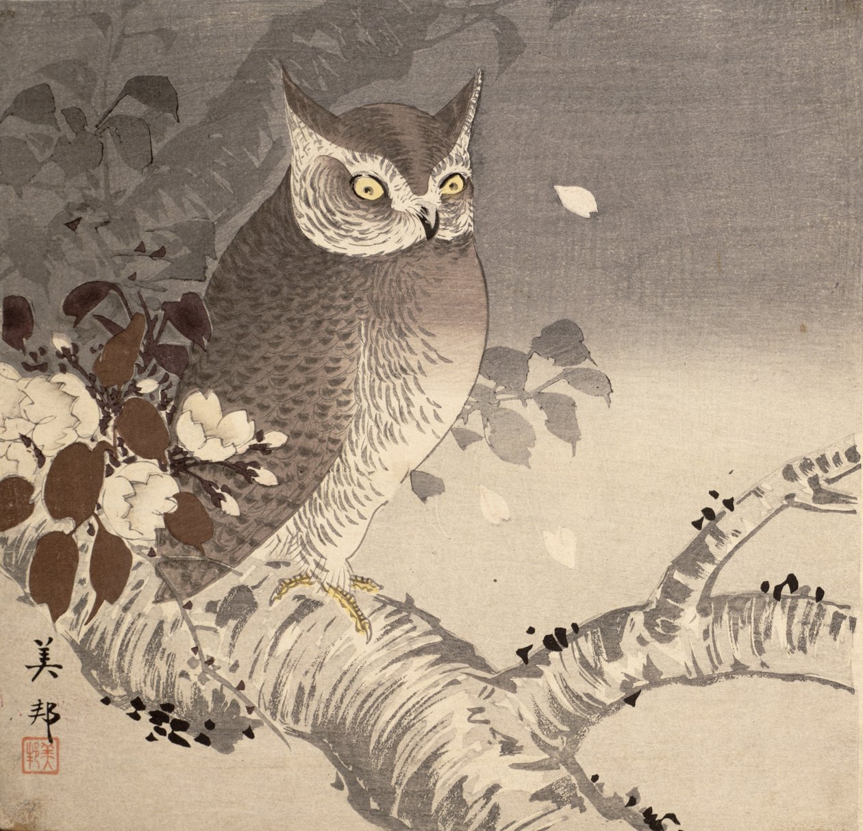 Sova na větvi stromu od Biho Takashi or Takahashi (b. 1873. fl 1890 1930)