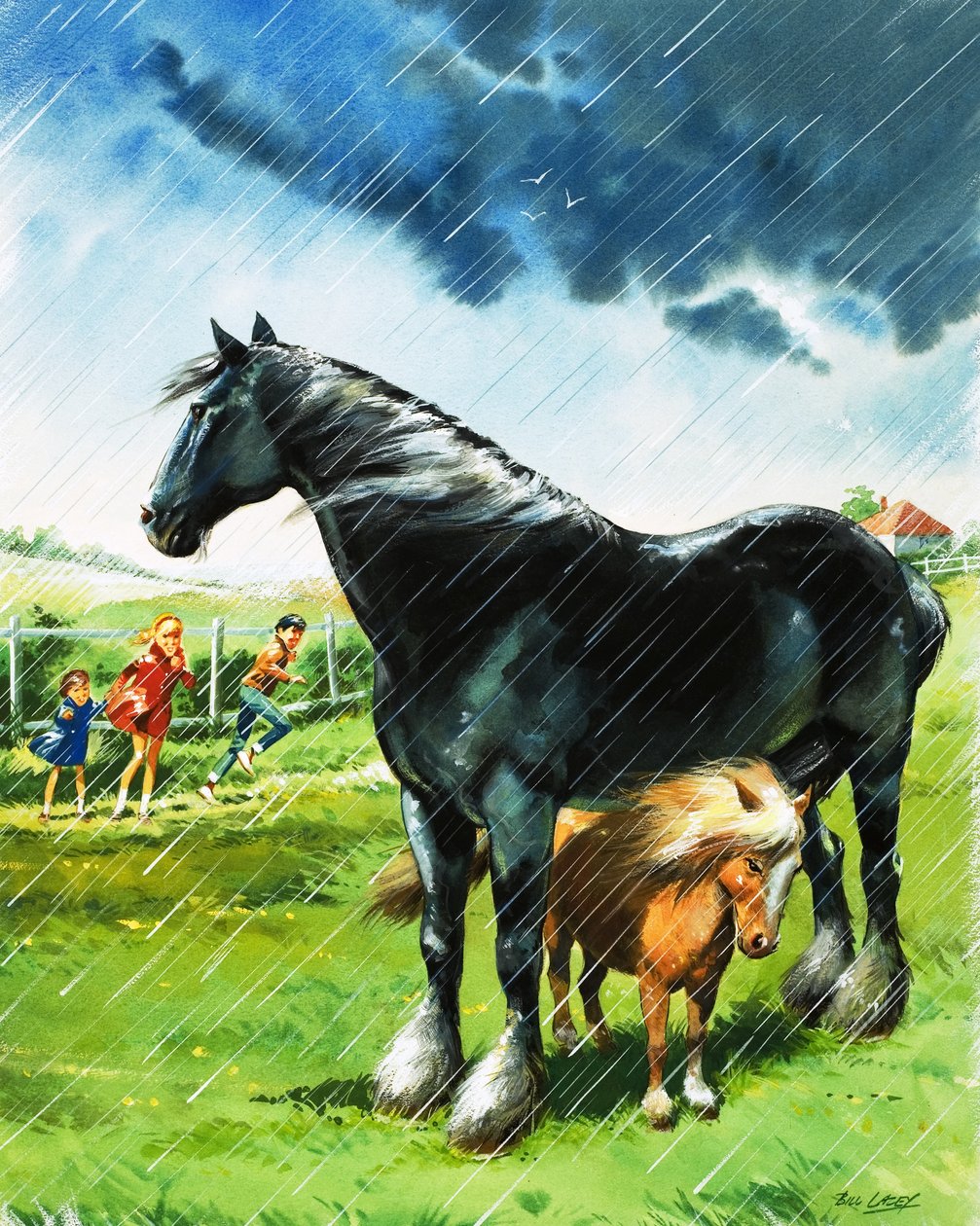 Hříbě se schovává před nepřízní počasí pod jiným koněm od Bill Lacey
