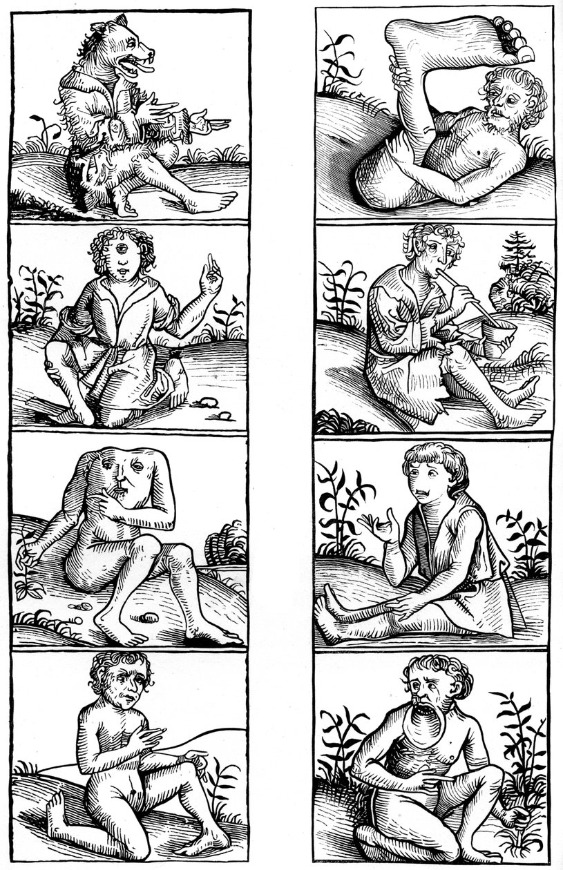 Víry a lidové pověry, 1493 1849. od Bisson and Cottard