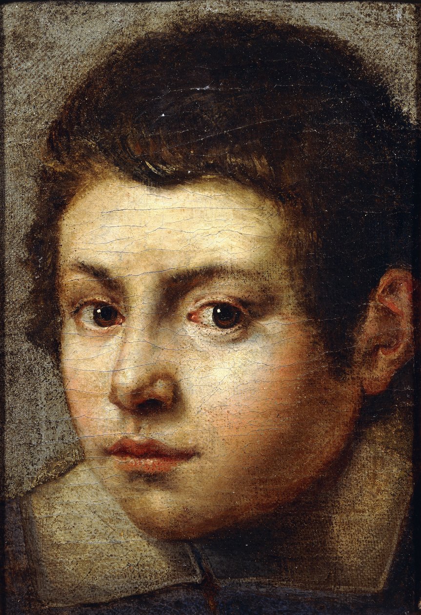 Hlava mladého chlapce, od Bolognese School