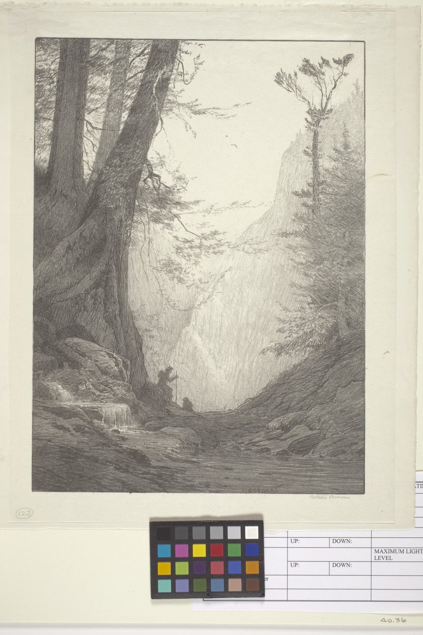 Velké cedry (inkoust na papíře, litografie) od Bolton Coit Brown