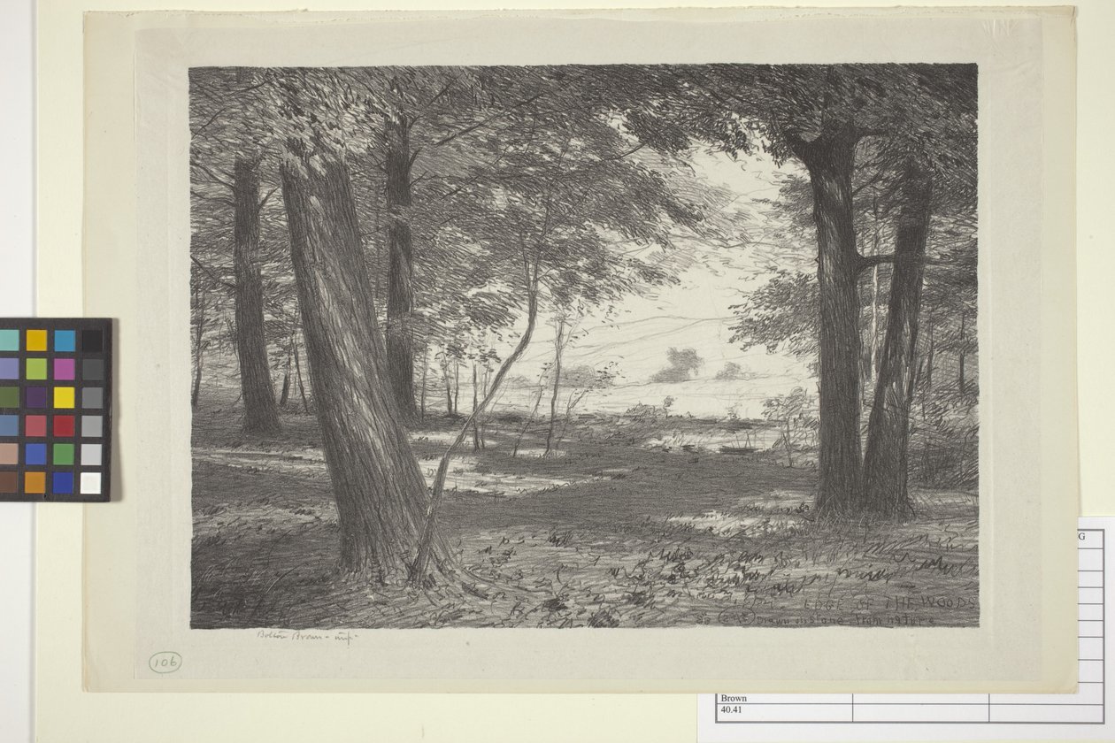 Edge Of The Woods (inkoust na papíře) od Bolton Coit Brown