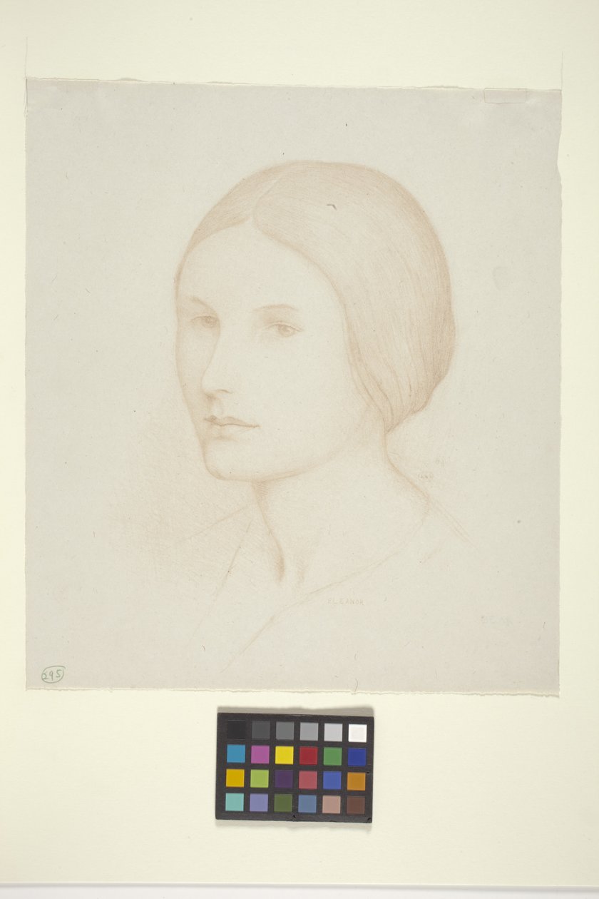 Eleanor (inkoust na papíře) od Bolton Coit Brown