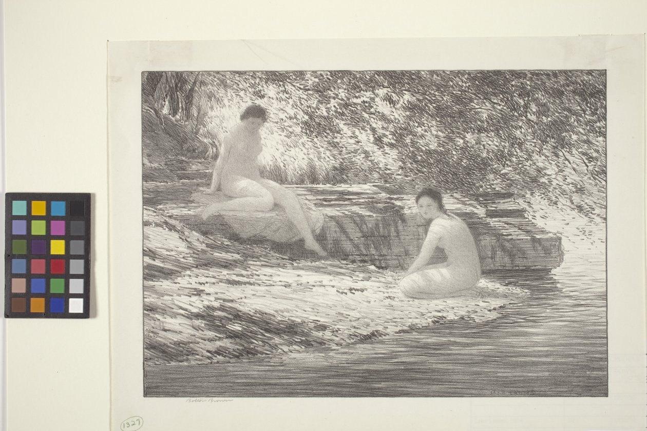 Lake Ladies (inkoust na papíře) od Bolton Coit Brown