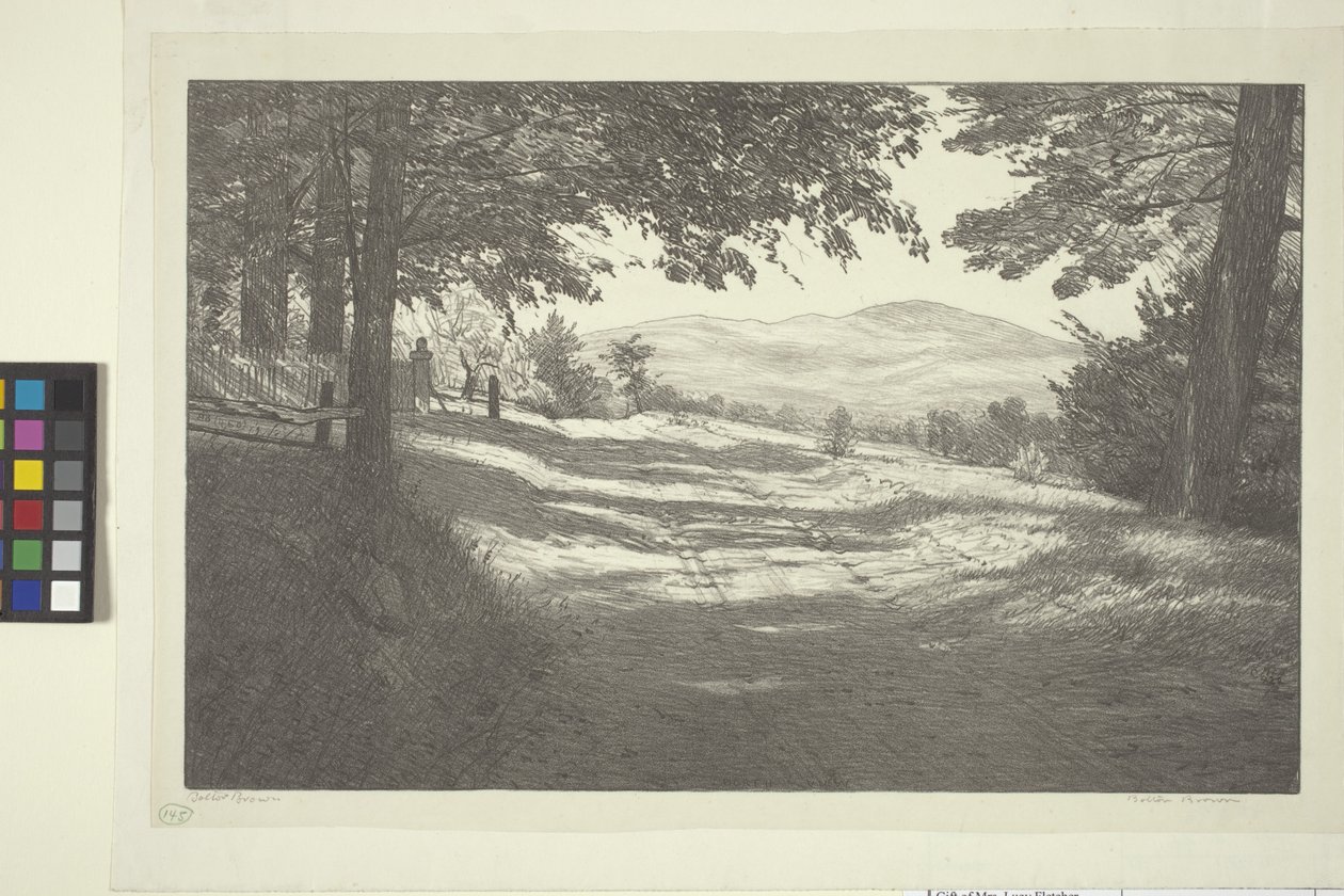 Severní pohled (inkoust na papíře) od Bolton Coit Brown