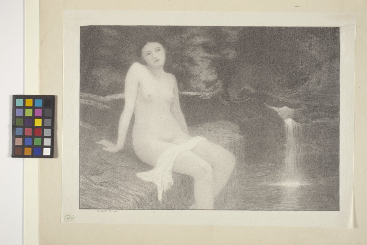 Sylvia (inkoust na papíře) od Bolton Coit Brown