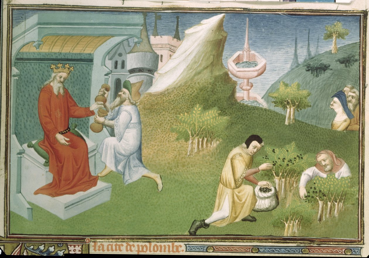 Paní Fr 2810 f.186, sklizeň pepře a nabízení plodů králi, z „Livre des Merveilles du Monde“, c.1410-12 (tempera na pergamenu) od Boucicaut Master