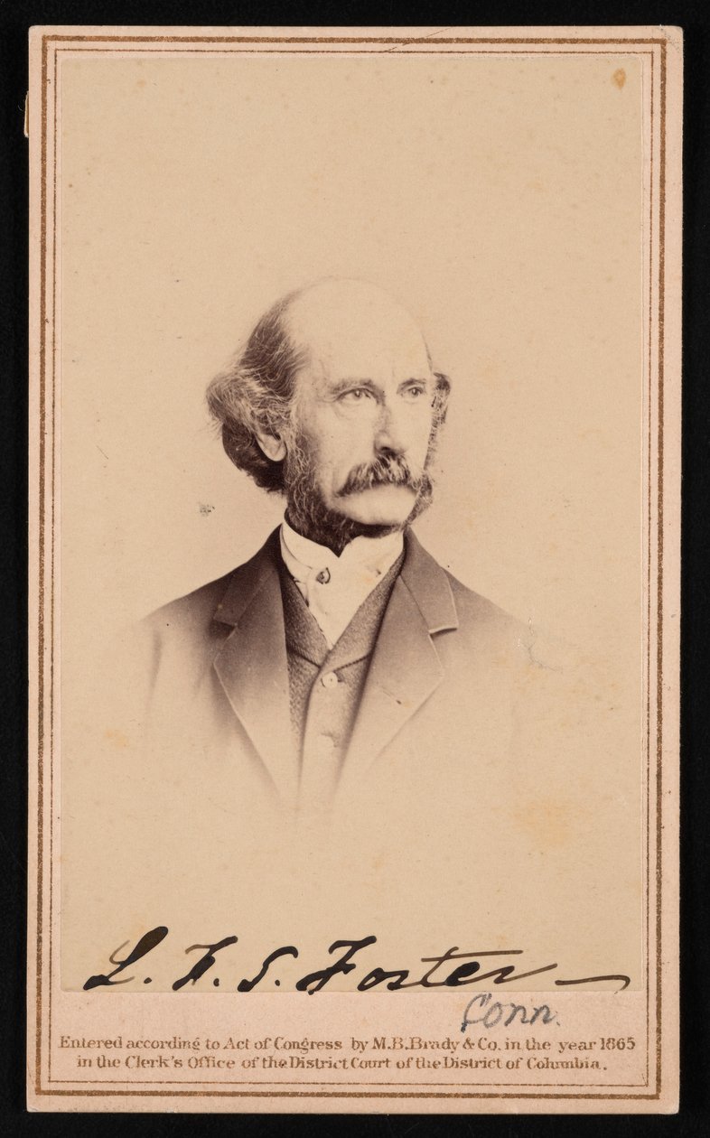 Portrét LaFayette Sabine Fosterové 1806-1880, před rokem 1869. od Brady