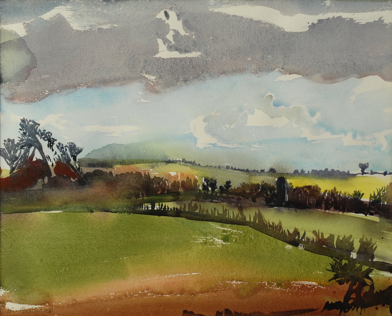 Breezy odpoledne, 1981 od Brenda Brin Booker