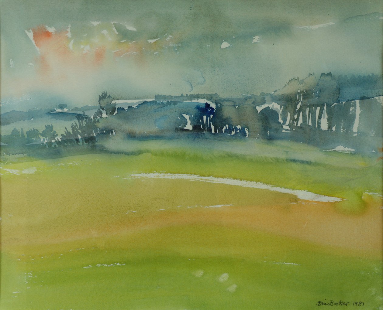 Misty Morning, 1981 (wc na papíře) od Brenda Brin Booker