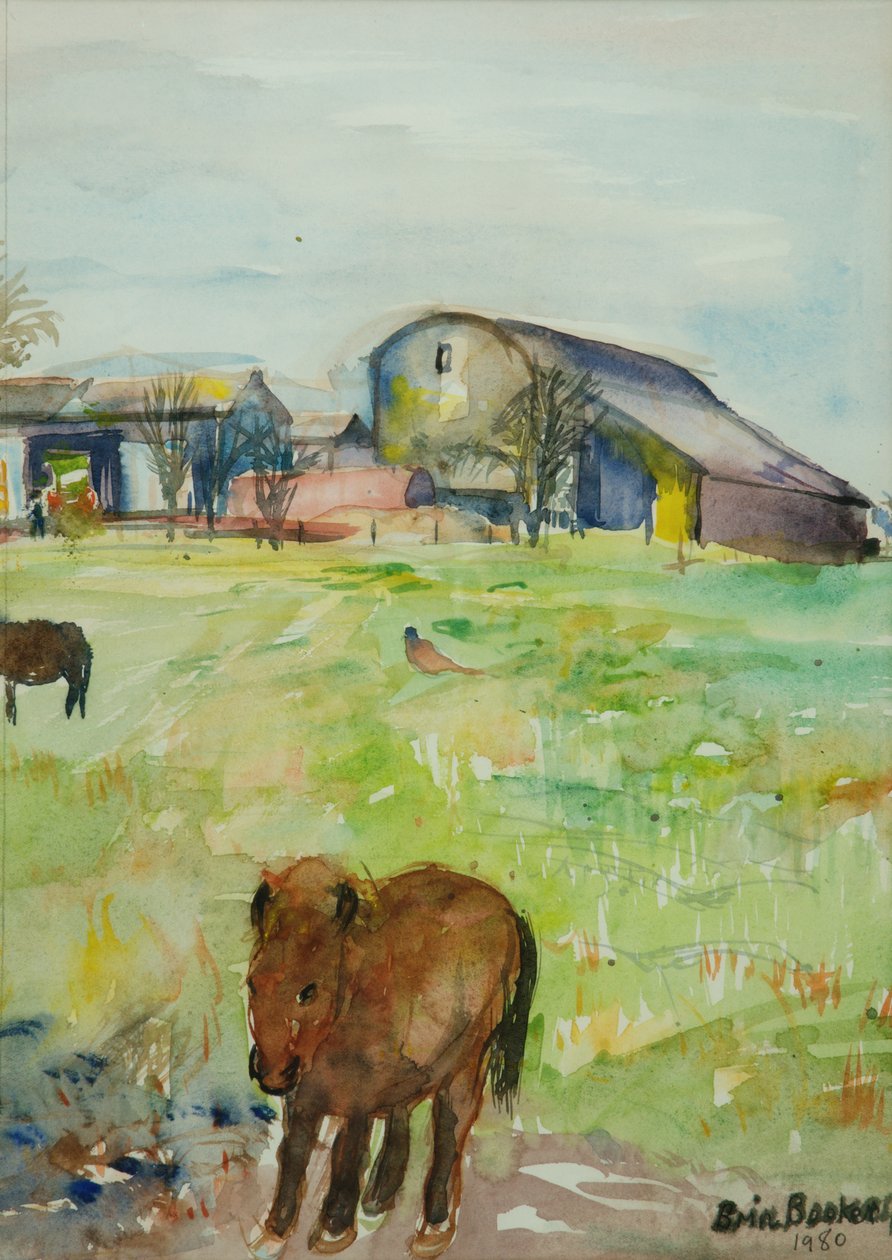 Pony in the Farm Meadow, East Green, 1980 (wc na papíře) od Brenda Brin Booker