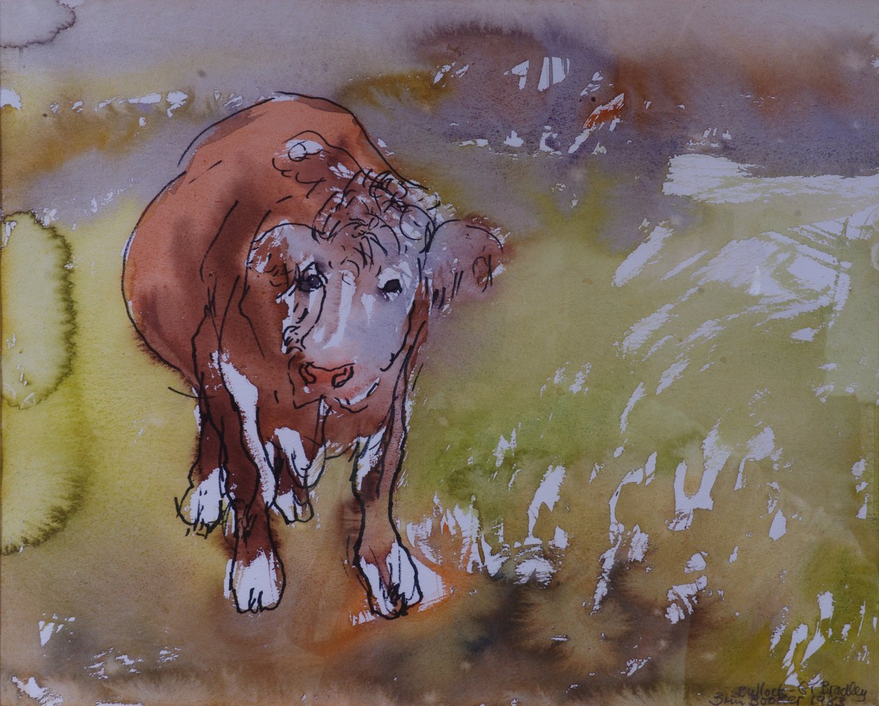 The Bullock, 1983 (pero a inkoust s wc na papíře) od Brenda Brin Booker