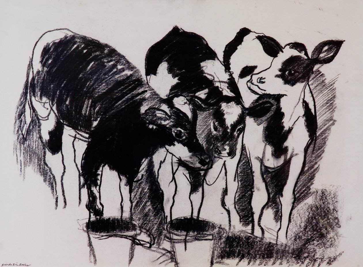 The New Calves (uhlí na papíře) od Brenda Brin Booker