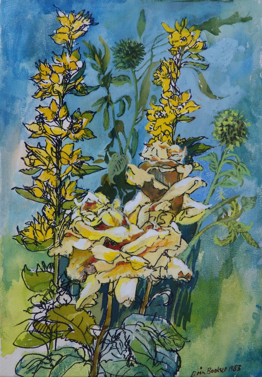 Yellow Rose and Loosestrife, 1983 (pero a inkoust s wc na papíře) od Brenda Brin Booker