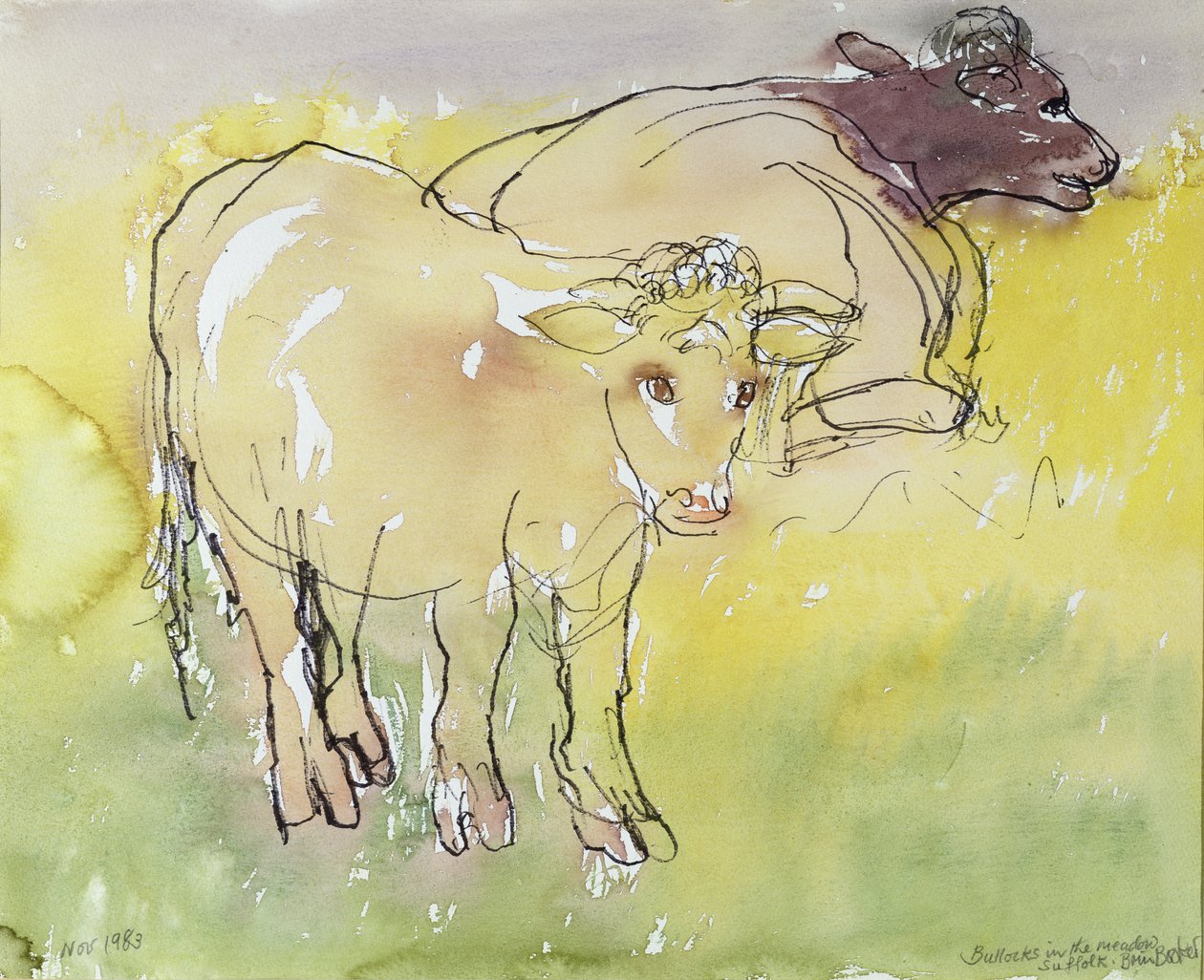 Young Bullocks in the Meadow, 1983 (pero a inkoust s wc na papíře) od Brenda Brin Booker