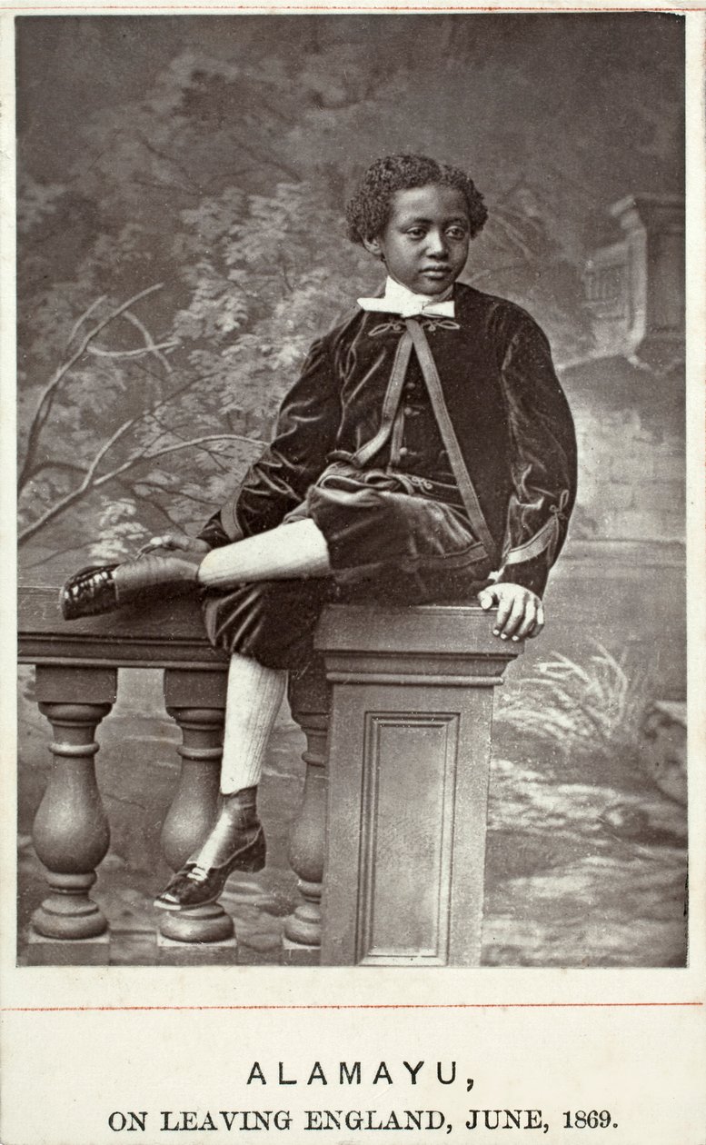 Alamayu, Anglie, 1869 (albumenový tisk) od British Photographer