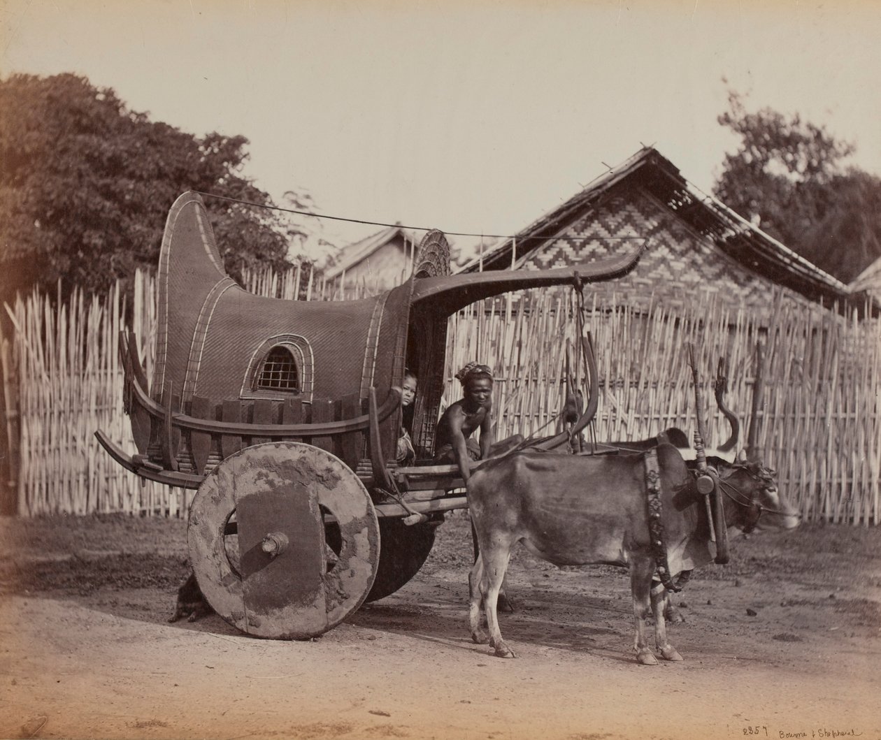 Country Cart, Barma (1886–1888) od British Photographer