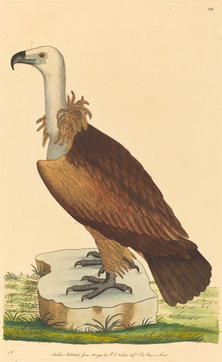 Sup alpský od British 18th Century