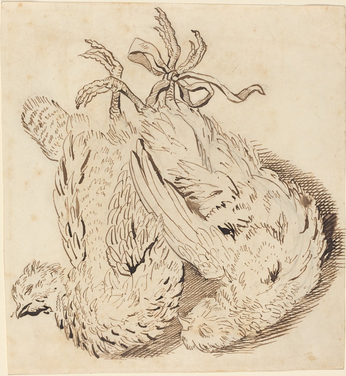 Dvě mrtvá kuřata od British 18th Century