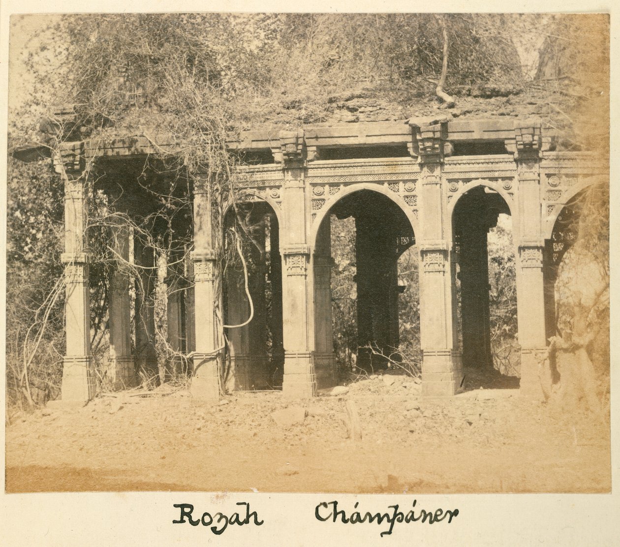 Rozah, Champaner, cca 1875 (č/b foto) od British Photographer