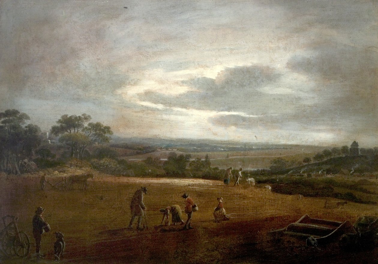 Orba a fazole (olej na plátně) od British School