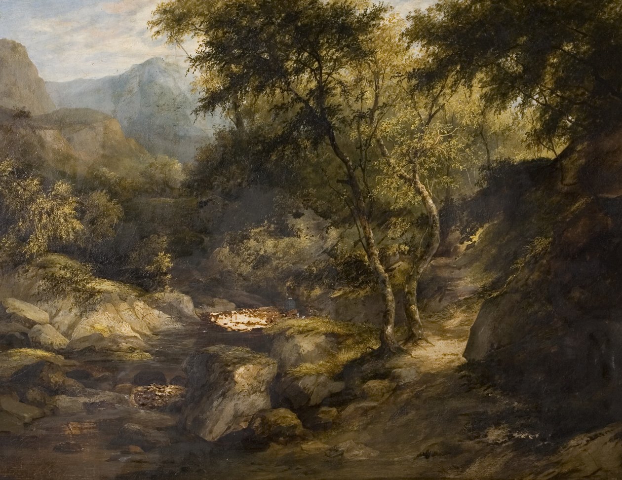 Říční krajina, polovina 19. století (olej na plátně) od British School