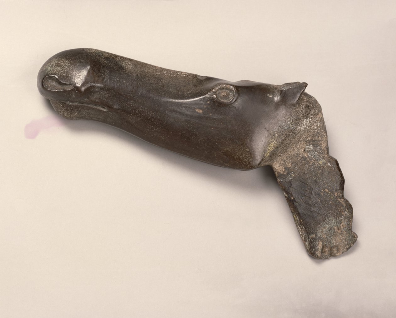 Hlava losí samice z Jekatěrinburgu na Uralu, 2000 př. n. l. (roh) od Bronze Age
