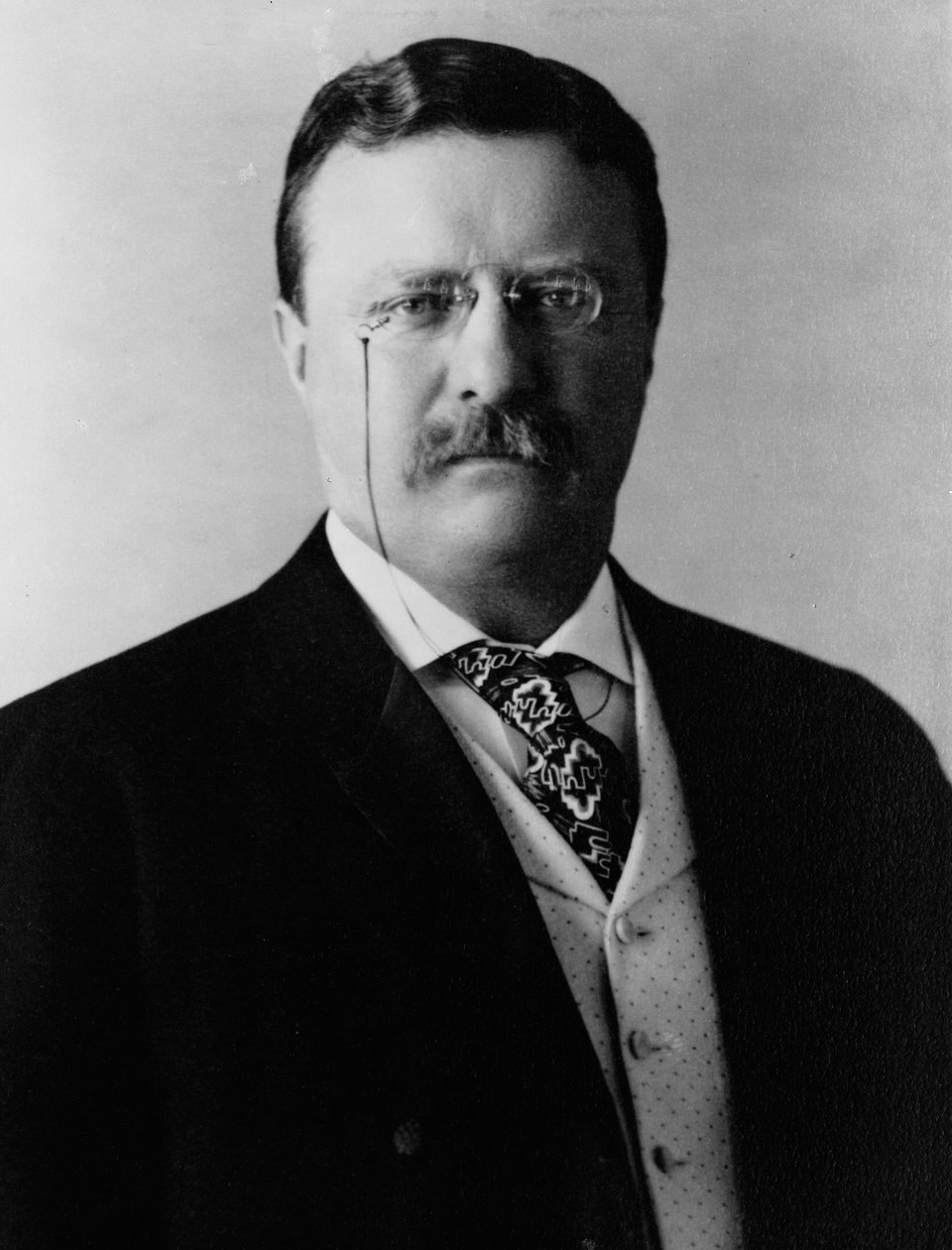 Theodore Roosevelt, kolem roku 1904 (černobílá fotografie) od Brothers Pach