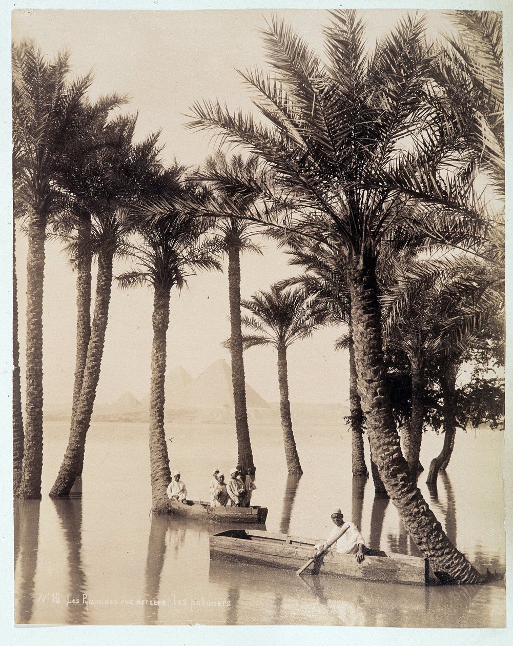 Palmový háj na úpatí egyptských pyramid - fotografie bratří Zangali, konec 19. století od Brothers Zangaki