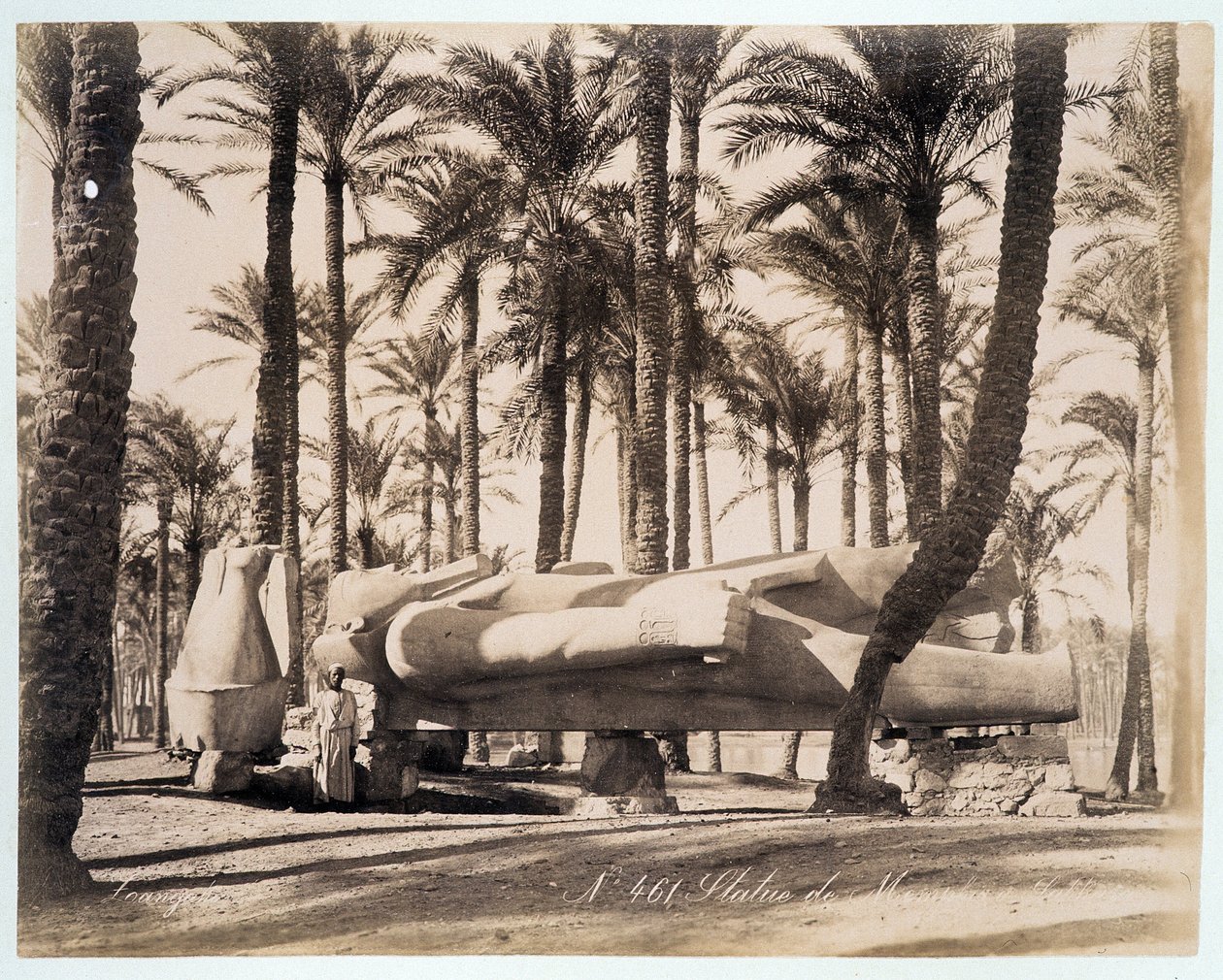Socha Memphisu leží v palmovém háji v Egyptě - fotografie bratří Zangali, konec 19. století od Brothers Zangaki