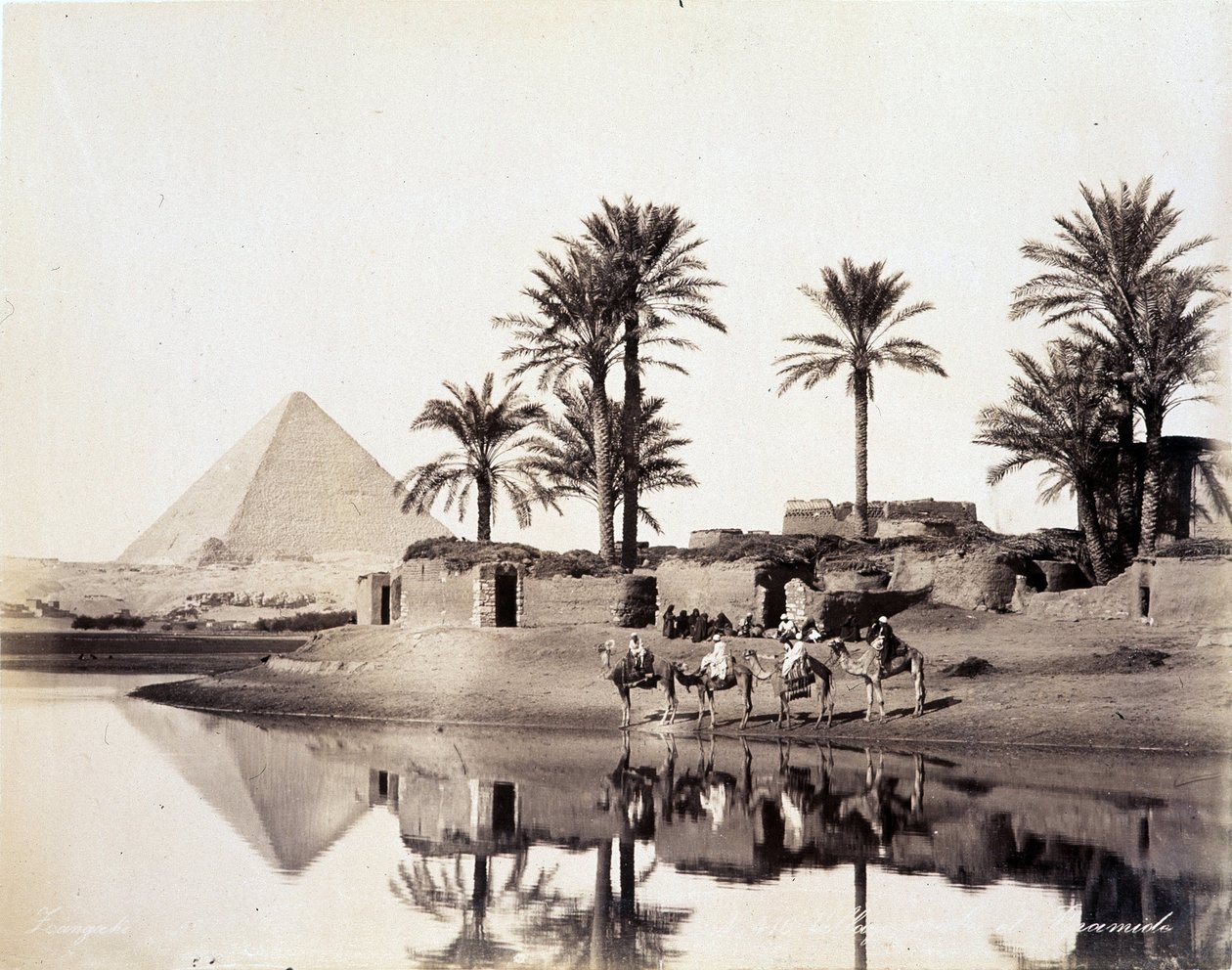 Velbloudi pijící na úpatí egyptských pyramid - fotografie bratří Zangaliů, konec 19. století od Brothers Zangaki